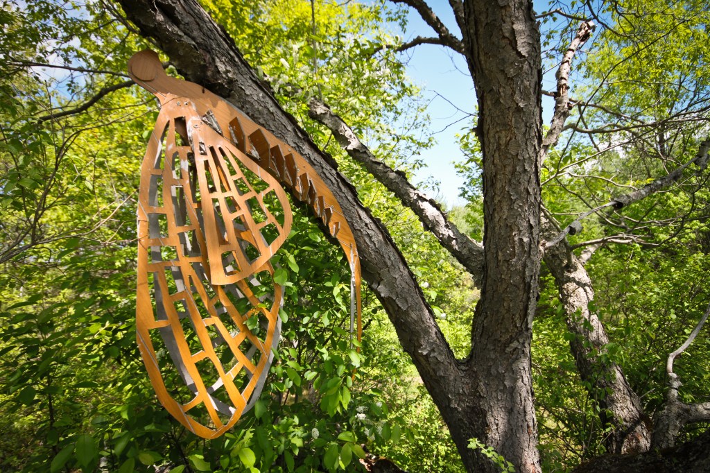 Fieldwork (10 of 17)