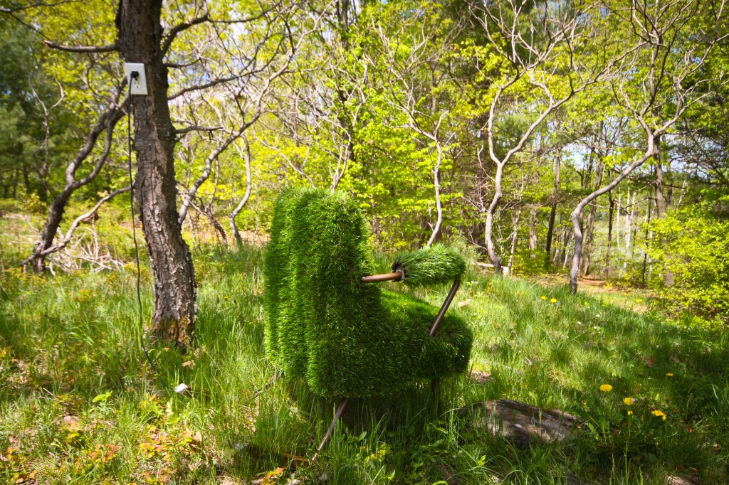 Fieldwork (11 of 17)