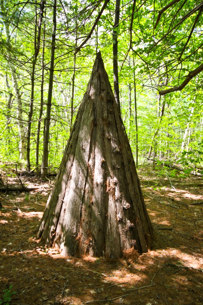 Fieldwork (14 of 17)