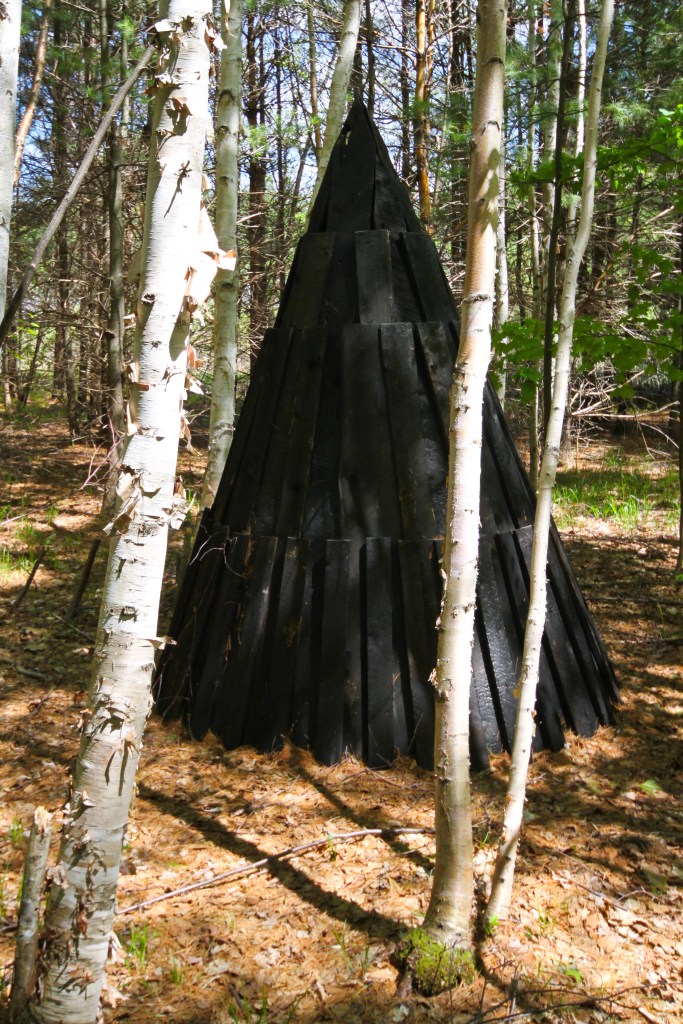 Fieldwork (15 of 17)