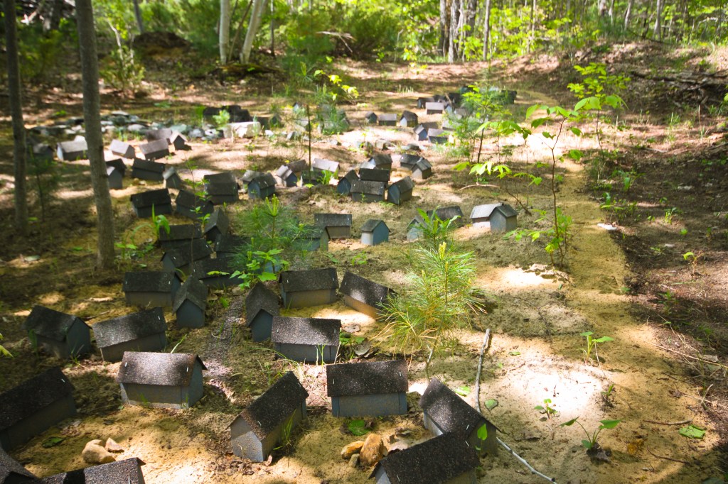 Fieldwork (16 of 17)