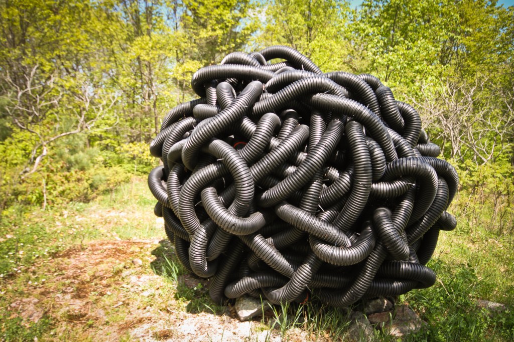 Fieldwork (17 of 17)